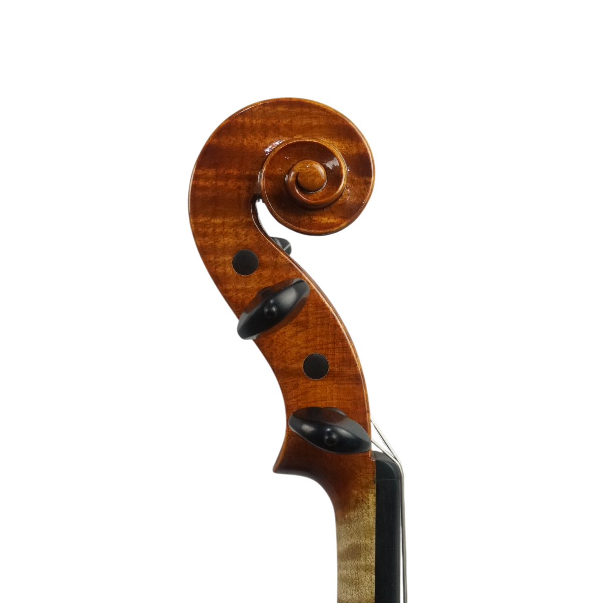 Violino Luthier Diego Castro 2025 n714