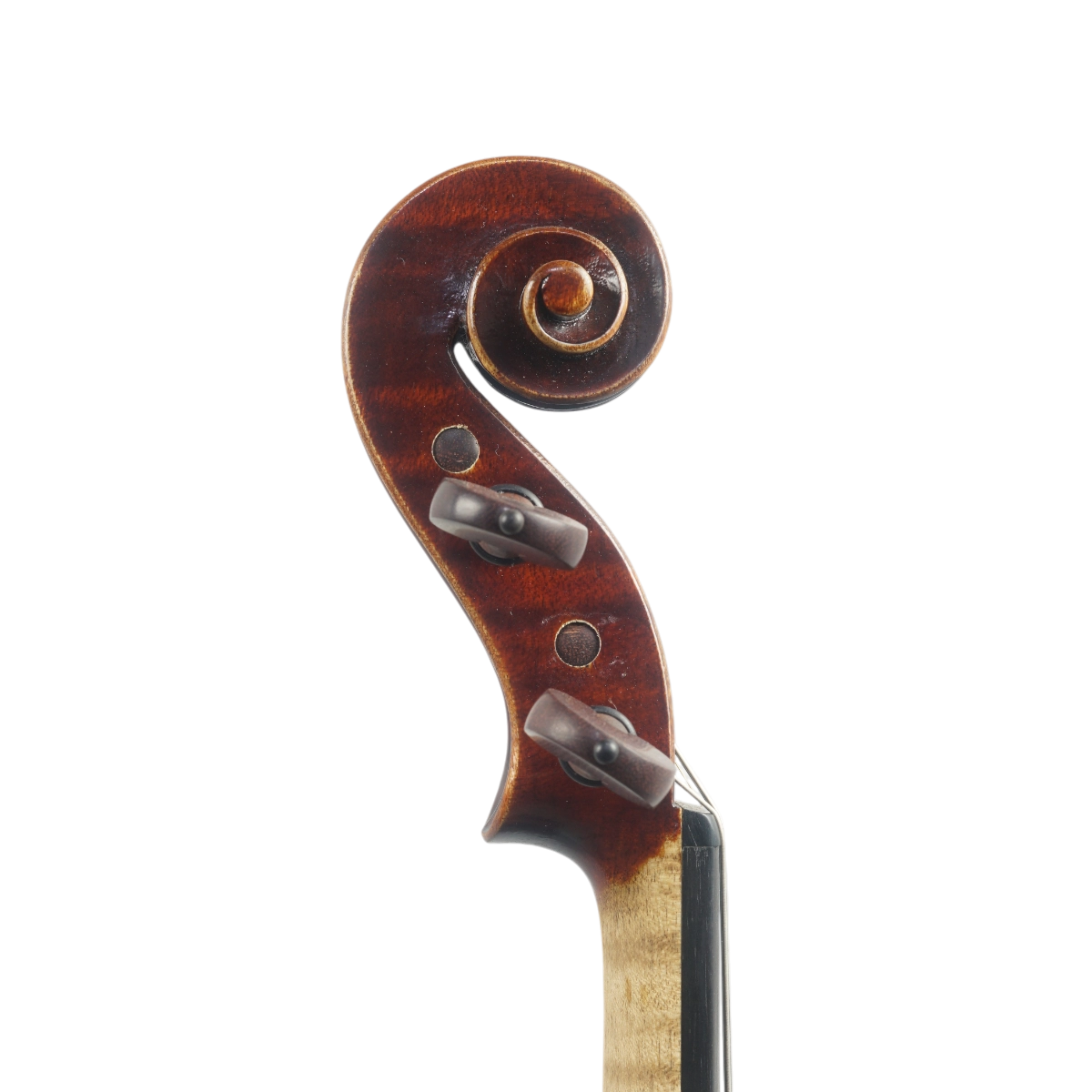 Violino Luthier Felipe Rodrigues 2025 Stradivari n696