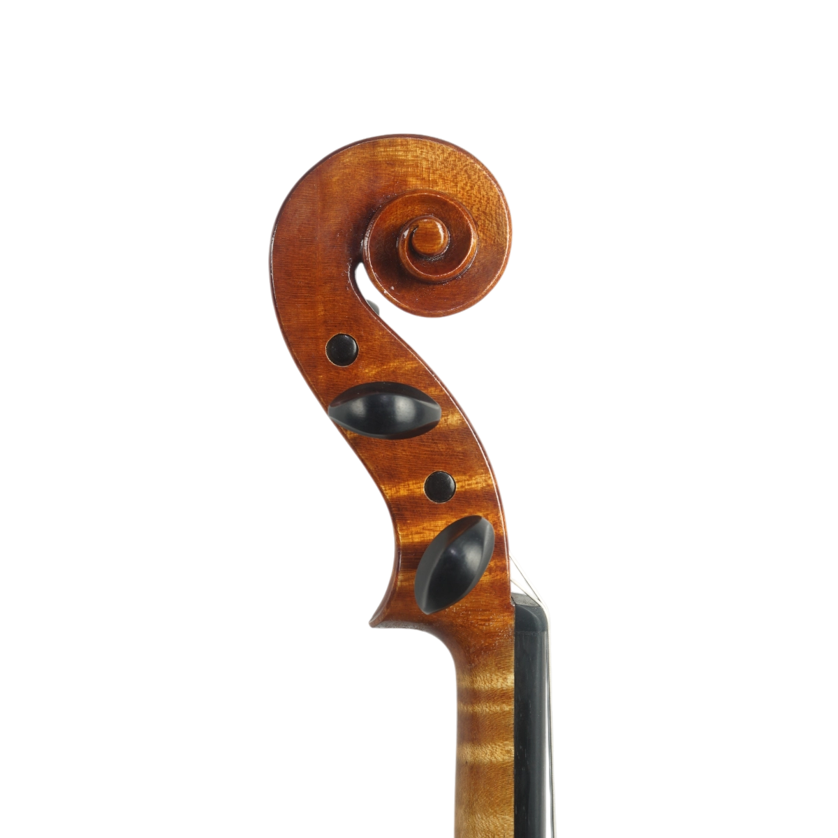 Violino Luthier Guilherme Gonçalves 2025 n726