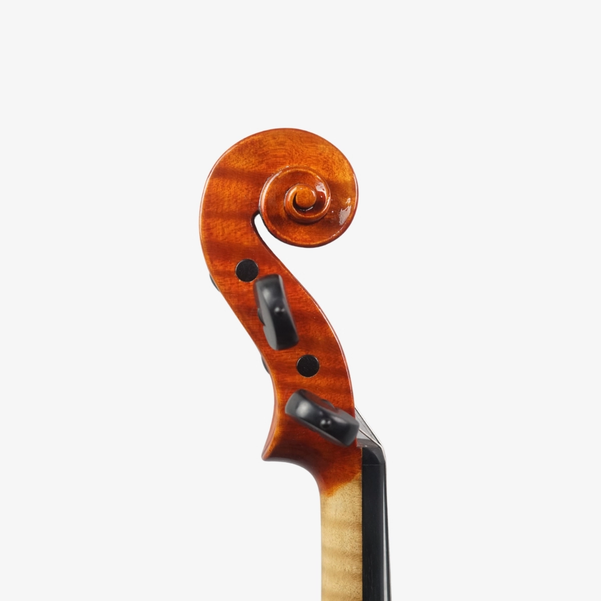 Violino Luthier Guilherme Gonçalves 2026 n726