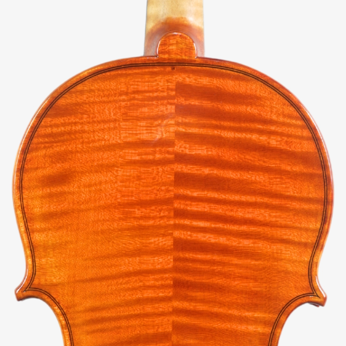 Violino Luthier Guilherme Gonçalves 2026 n726