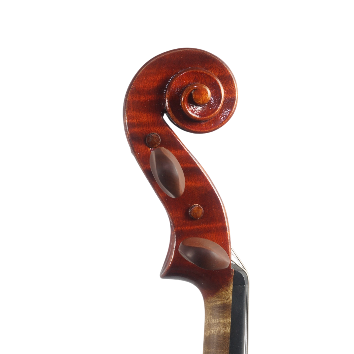 Violino Luthier Marcelo Paz 2025 Guarneri n693