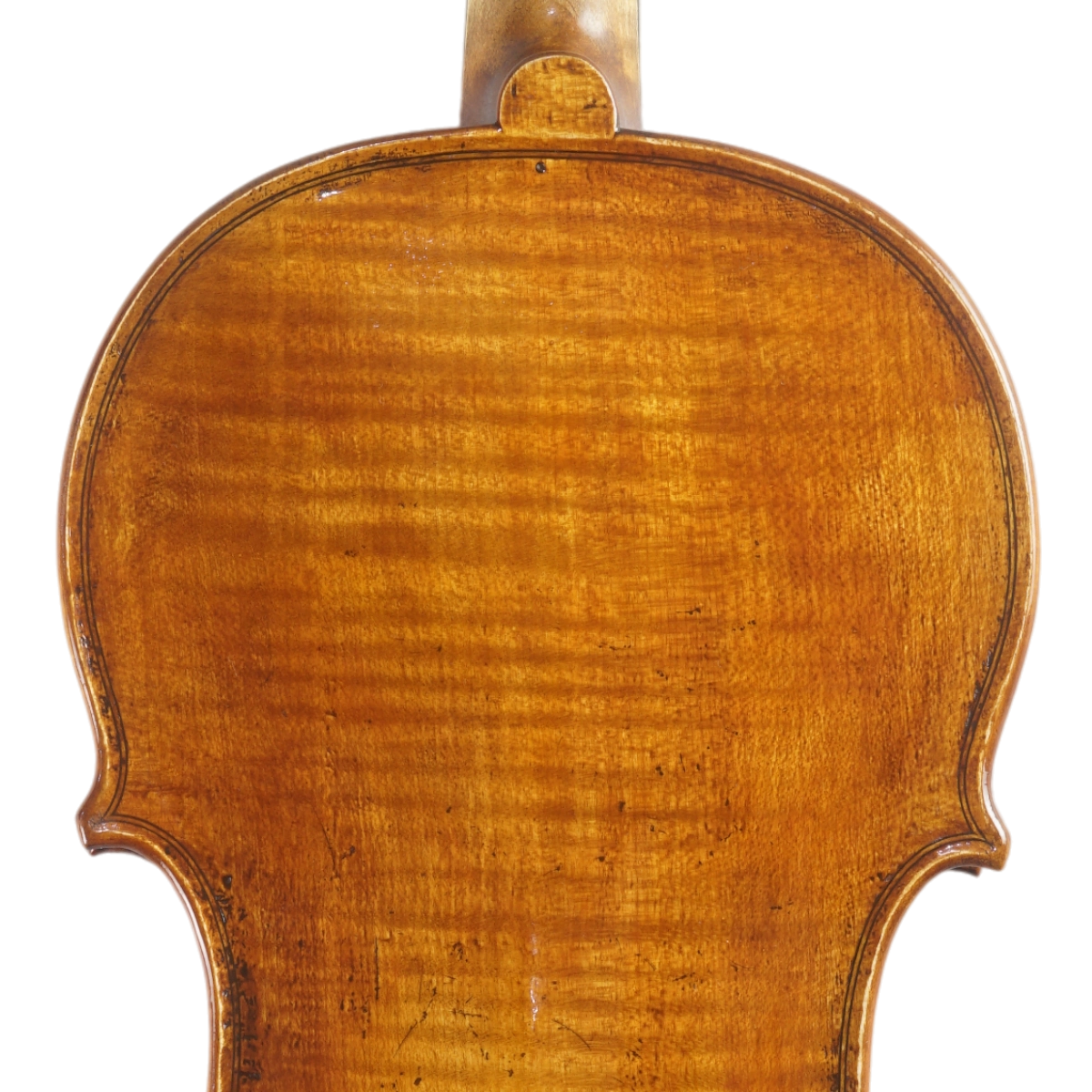  Violino Luthier Marcos Pandolfi 2025 Lord Wilton n694