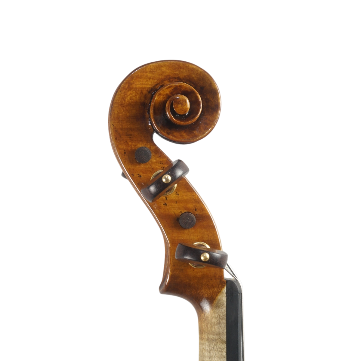  Violino Luthier Marcos Pandolfi 2025 Lord Wilton n694