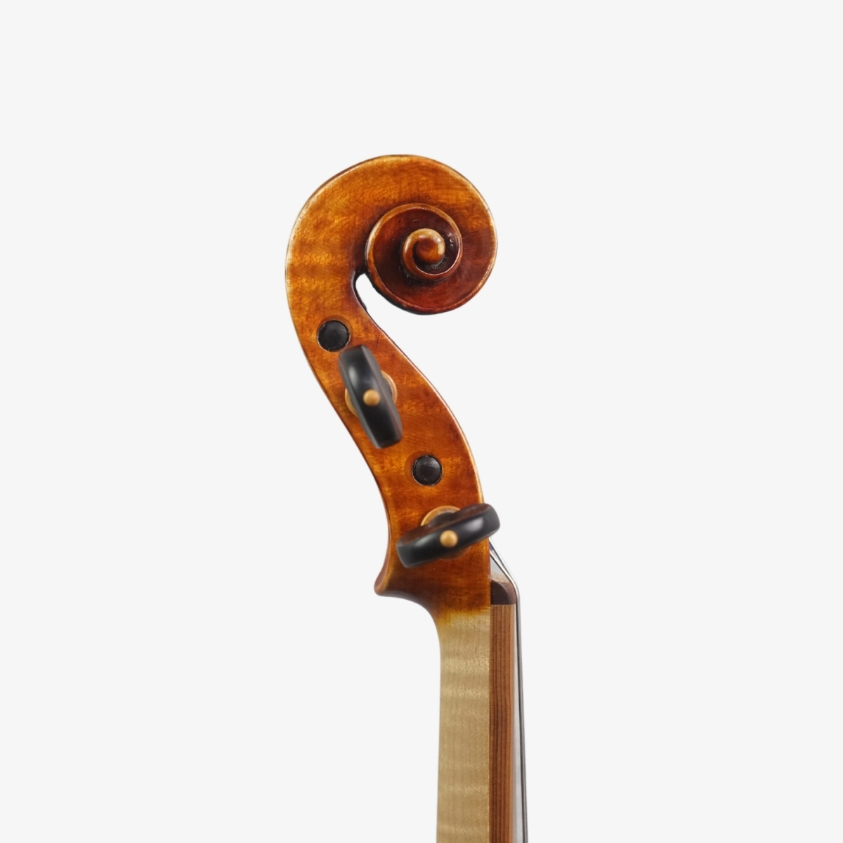 Violino Luthier Rodolfo Bettio 2020 Terrarium n829 Violino Luthier Rodolfo Bettio 2020 Terrarium n829