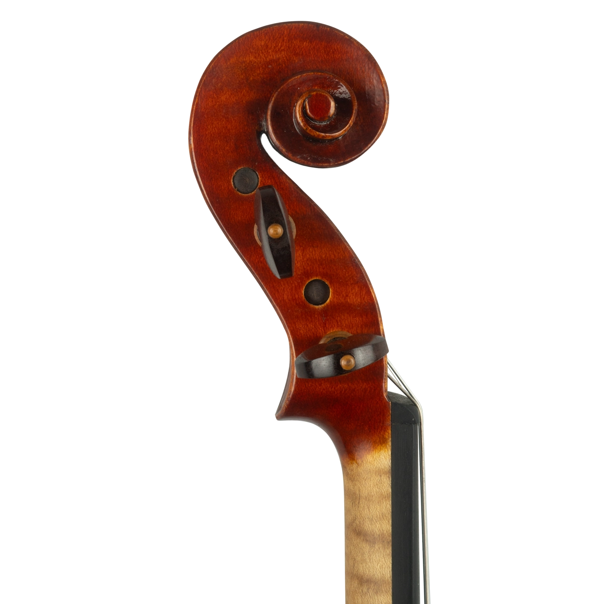 Violino Luthier Rudson Di Cavalcanti 2019 n623