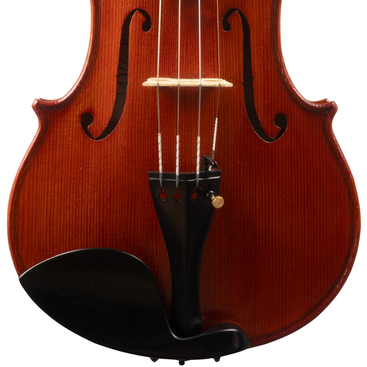 Violino Marcelo Paz 2025 n622