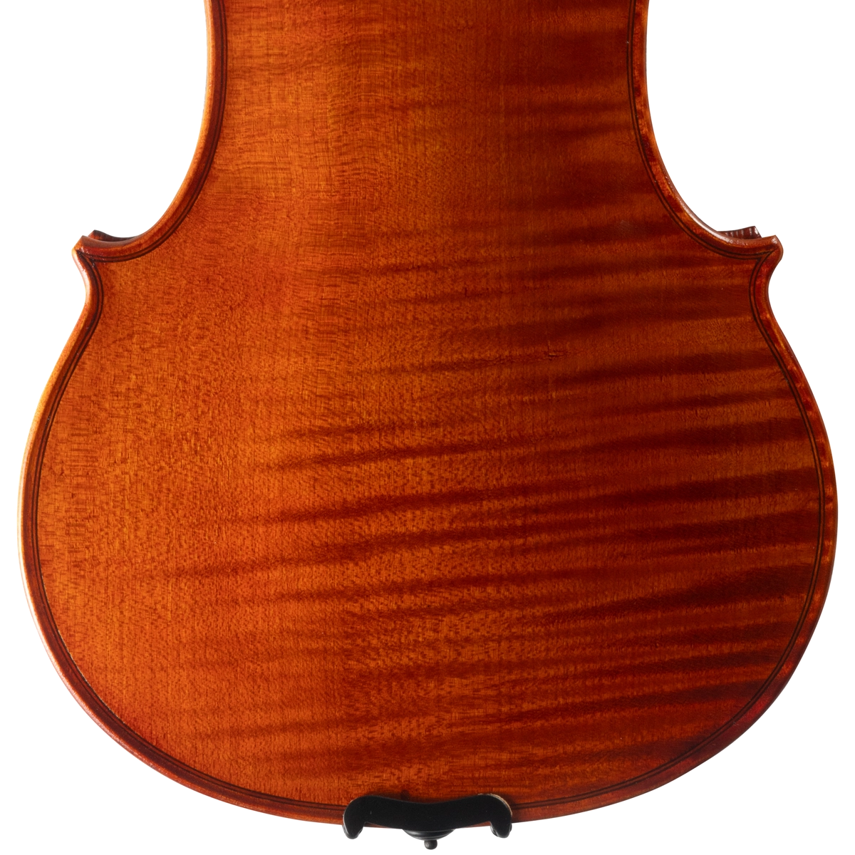 Violino Marcelo Paz 2025 n622