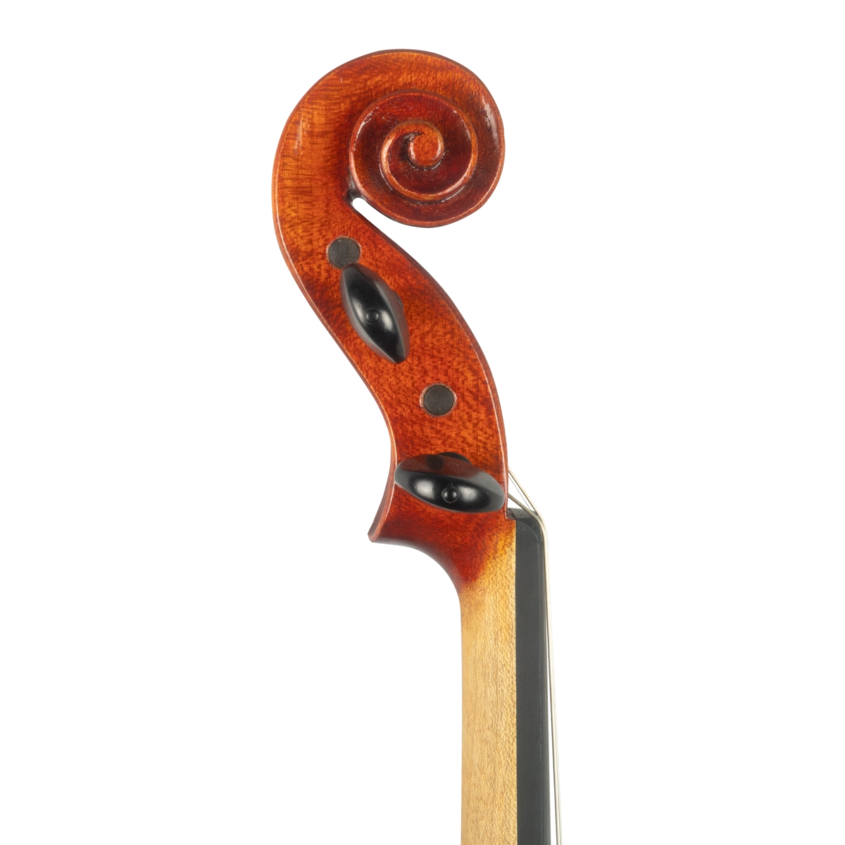 Violino Marcelo Paz 2025 n622