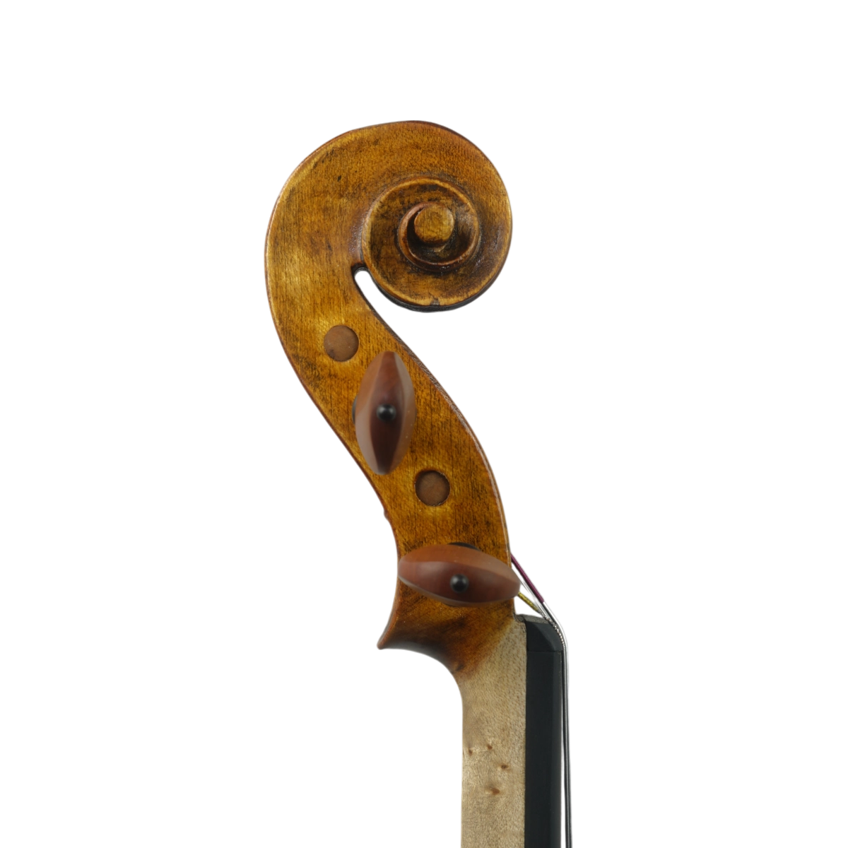  Violino Marsale Brasiliano 2025 Grau A n740