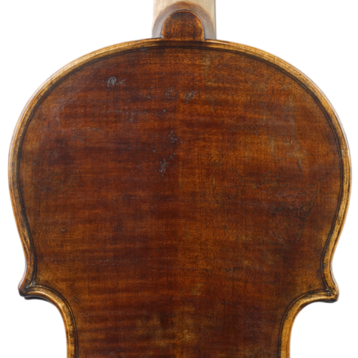 Violino Marsale Brasiliano 2025 Grau A n741