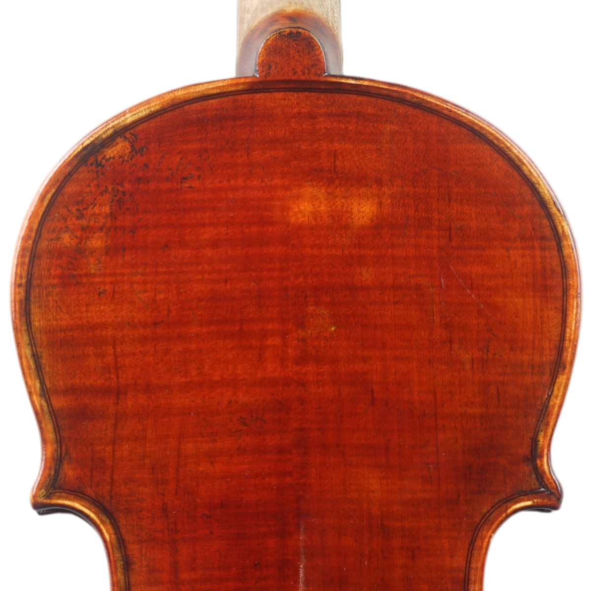 Violino Marsale Brasiliano 2025 Grau A n742