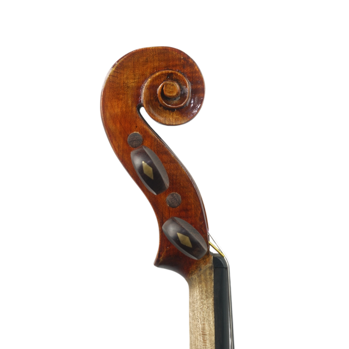 Violino Marsale Brasiliano 2025 Grau A n742