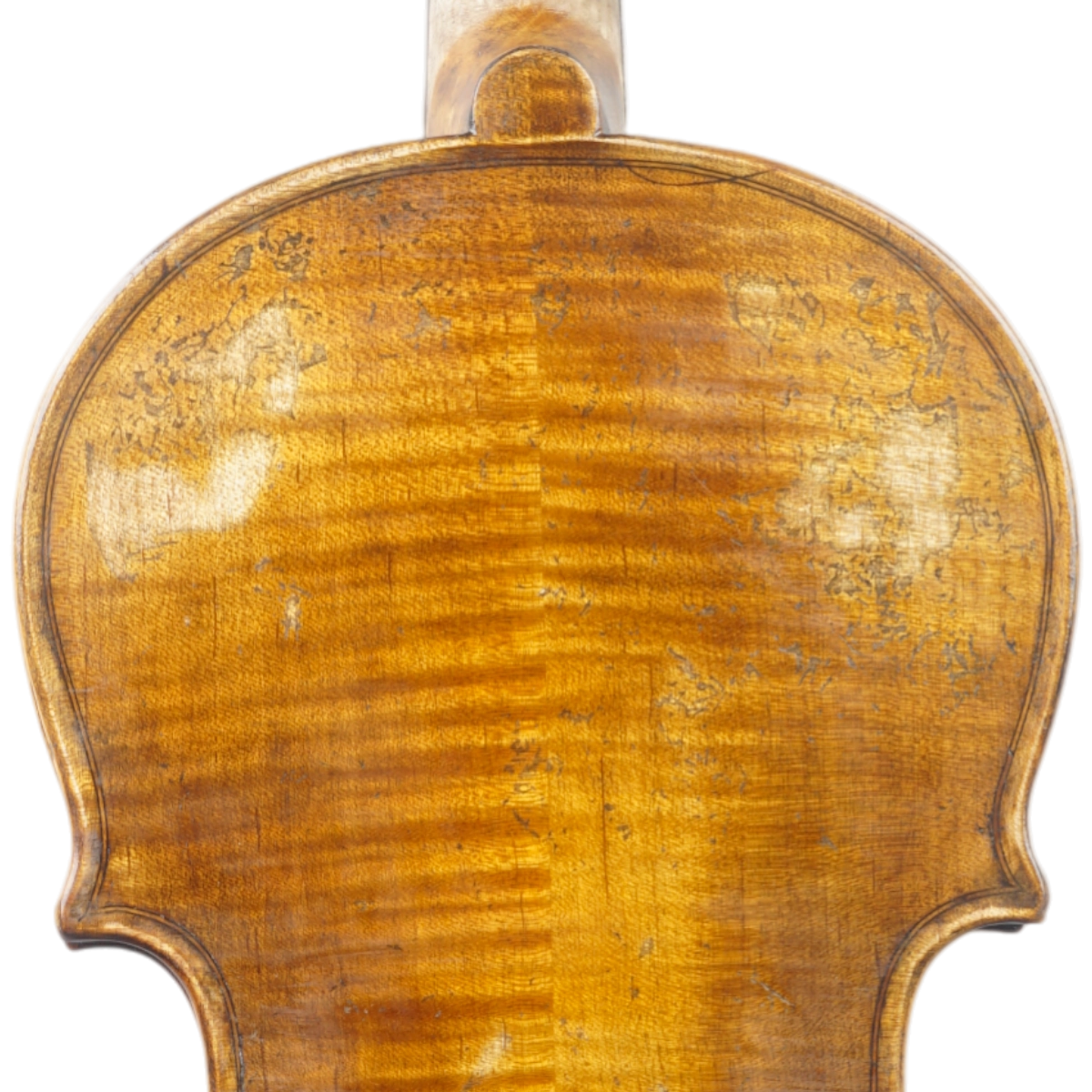 Violino Marsale Brasiliano 2025 Grau A n743