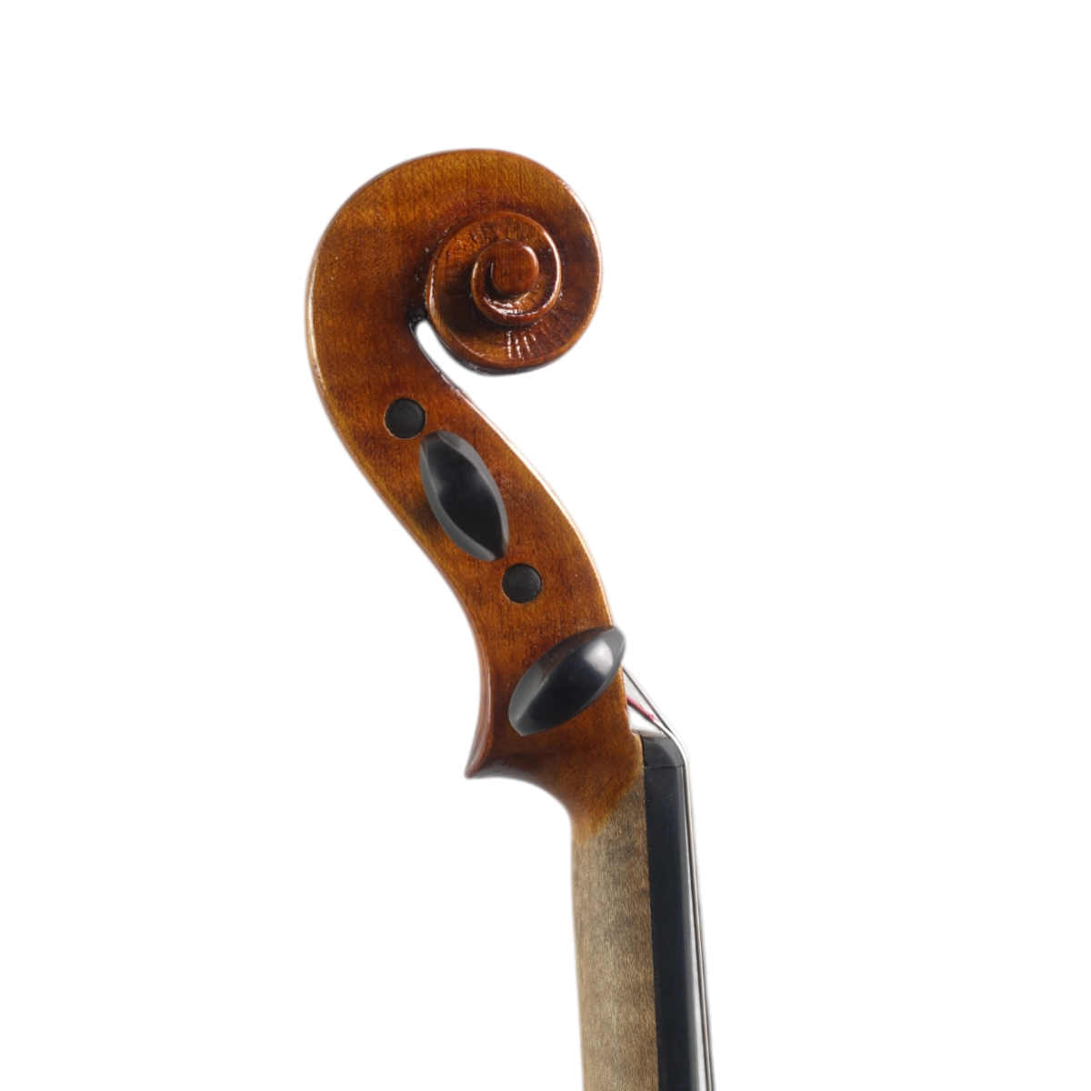 Violino Marsale Brasiliano 2025 Grau A n761