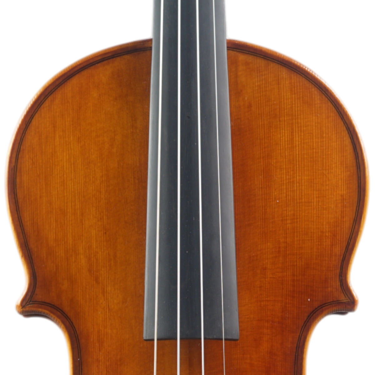 Violino Marsale Brasiliano 2025 Grau A n761