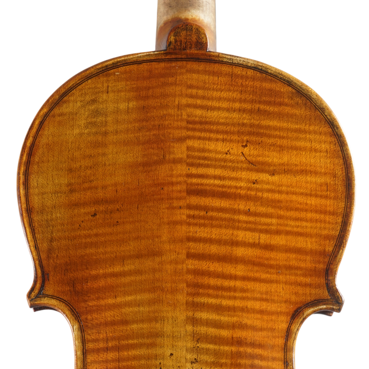 Violino Marsale Brasiliano 2025 Grau B n655