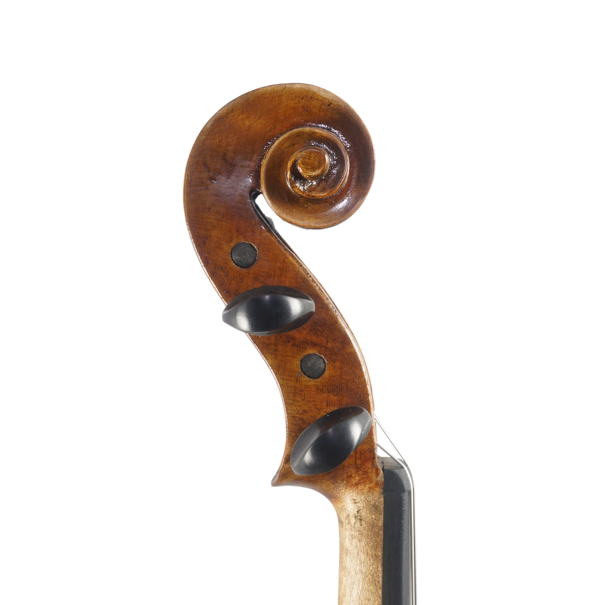 Violino Marsale Brasiliano 2025 Grau B n655