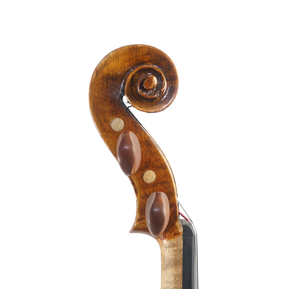 Violino Marsale Brasiliano 2025 Grau B n656
