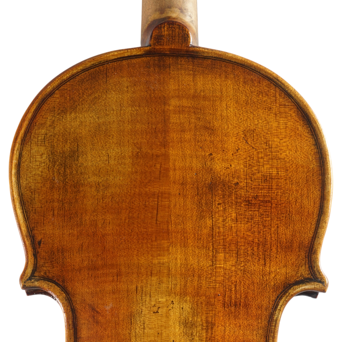 Violino Marsale Brasiliano 2025 Grau B n658