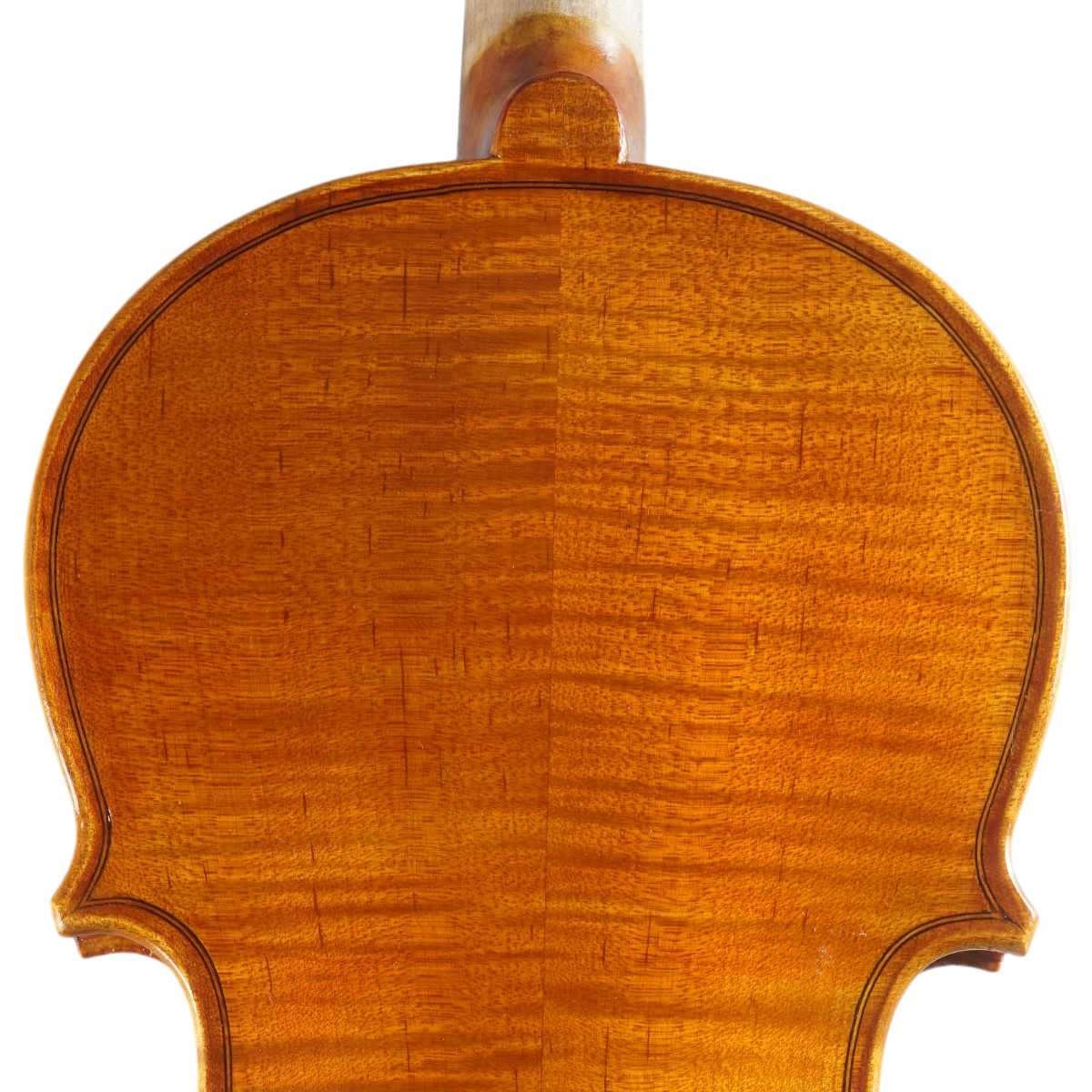 Violino Marsale Brasiliano 2025 Grau B n668