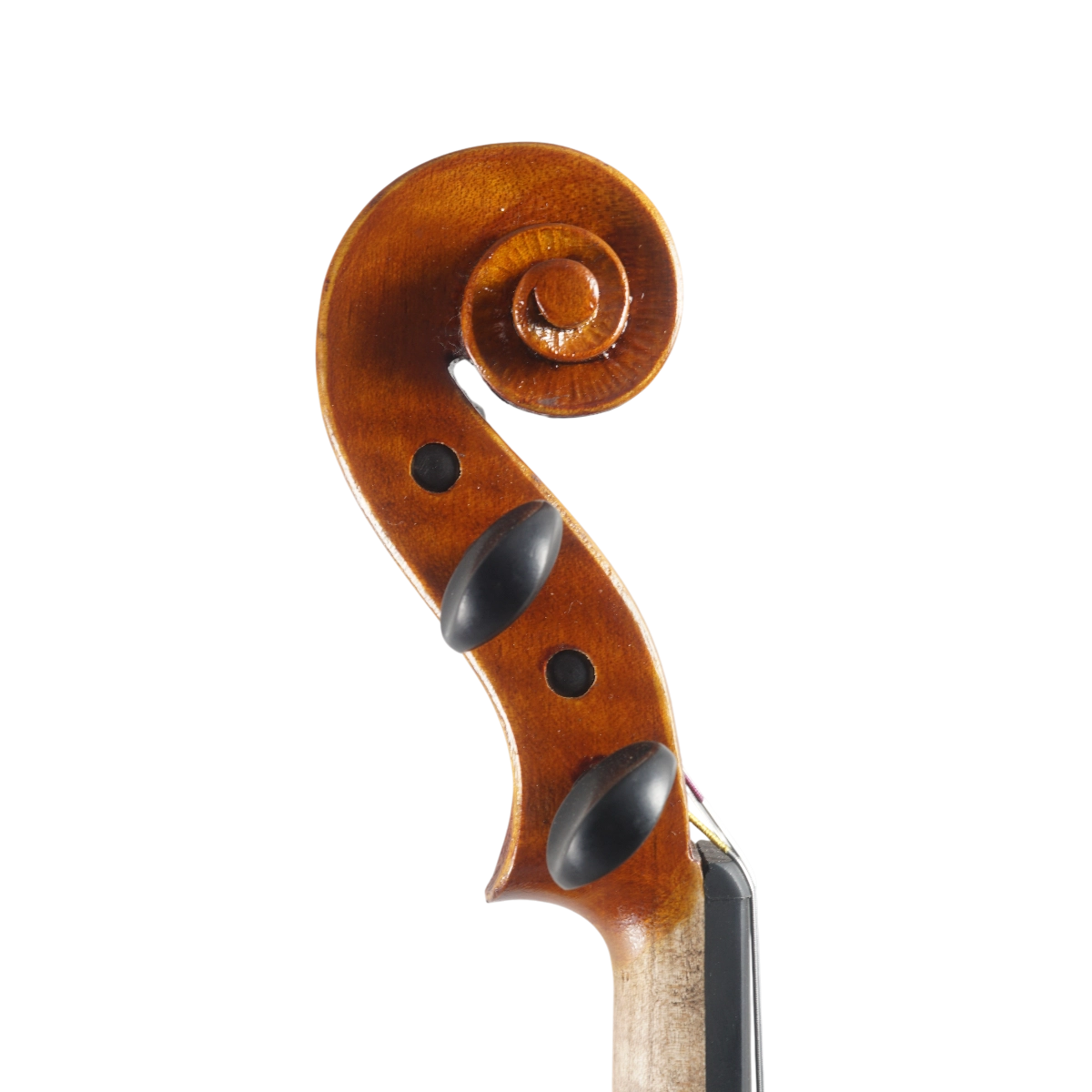 Violino Marsale Brasiliano 2025 Grau B n668
