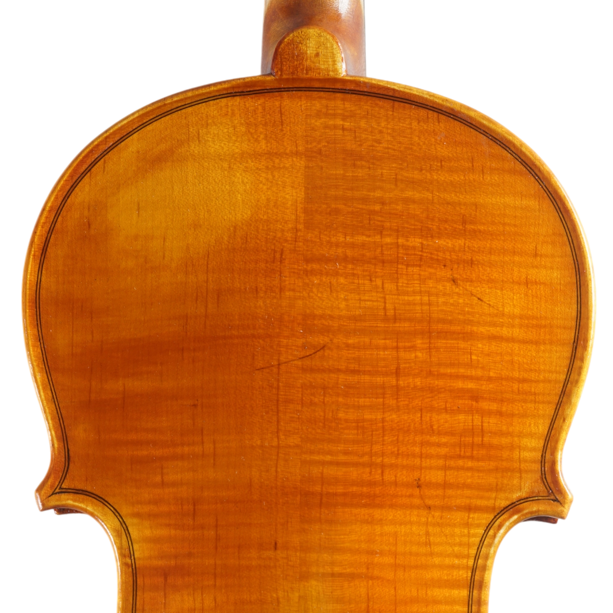 Violino Marsale Brasiliano 2025 Grau B n669