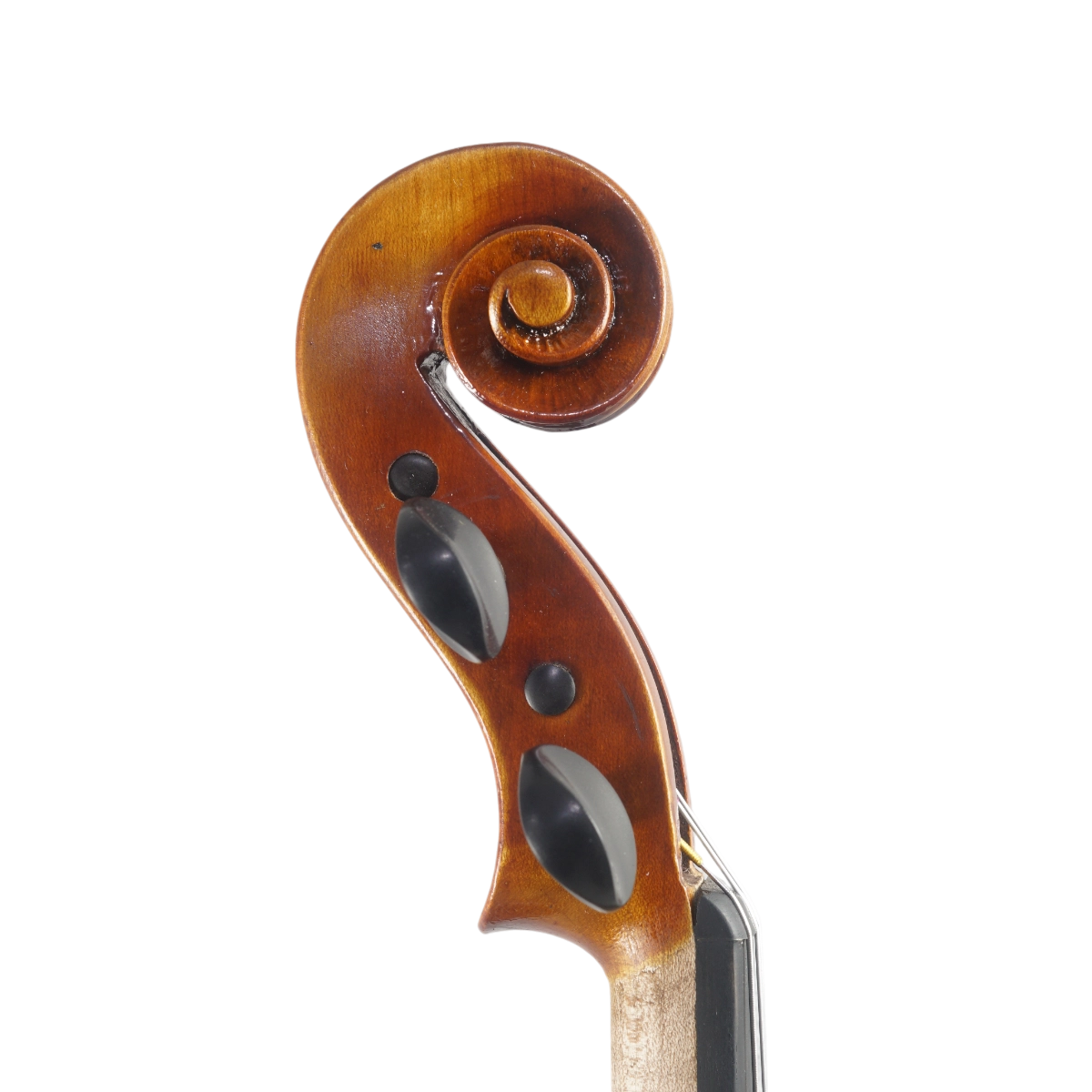 Violino Marsale Brasiliano 2025 Grau B n669