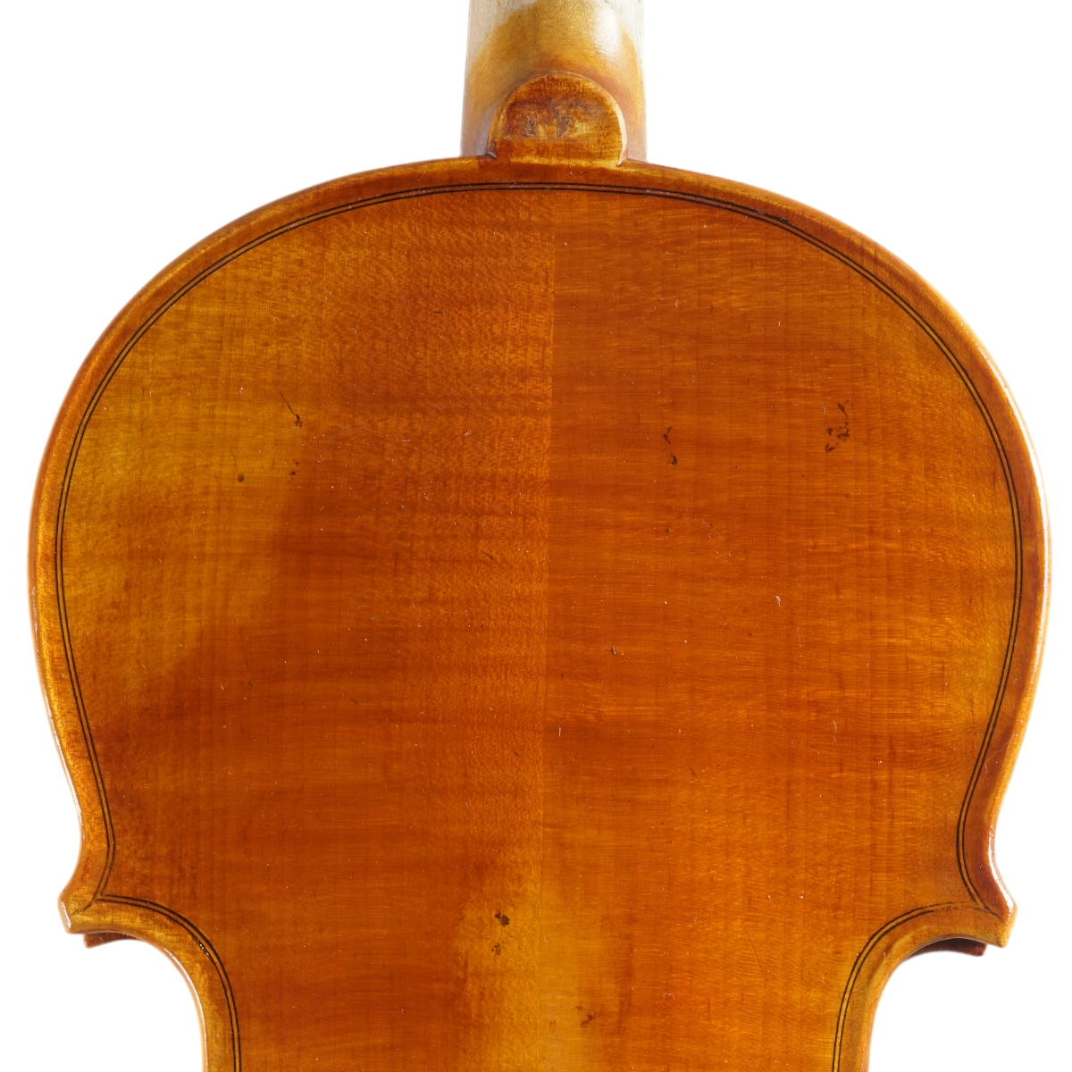 Violino Marsale Brasiliano 2025 Grau B n670