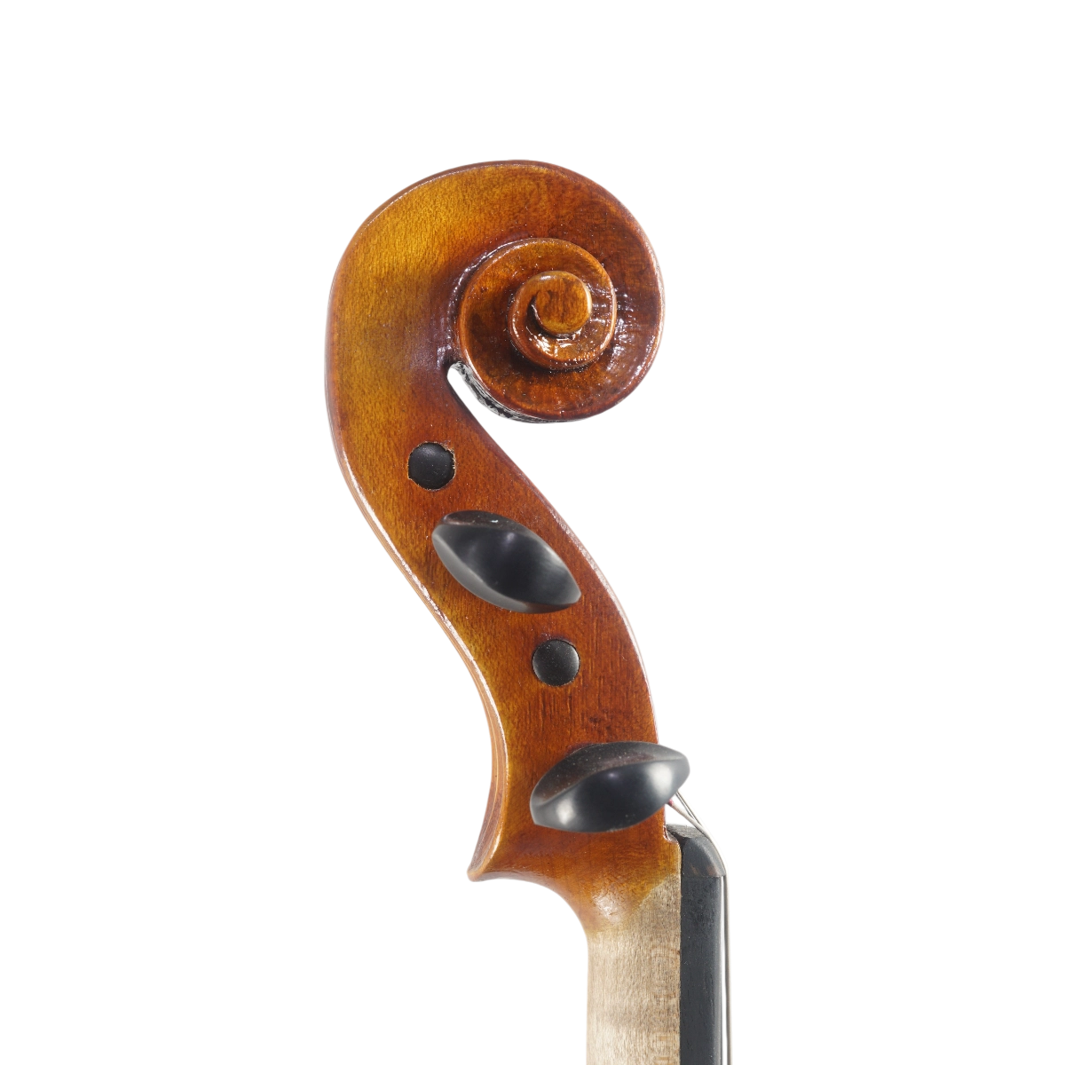 Violino Marsale Brasiliano 2025 Grau B n670