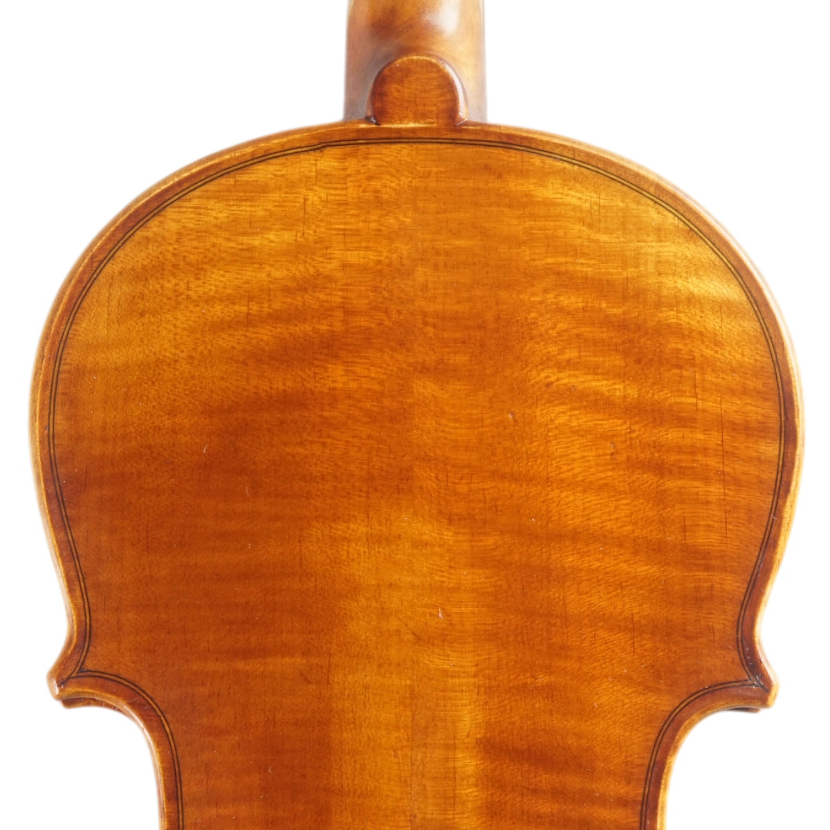 Violino Marsale Brasiliano 2025 Grau B n699