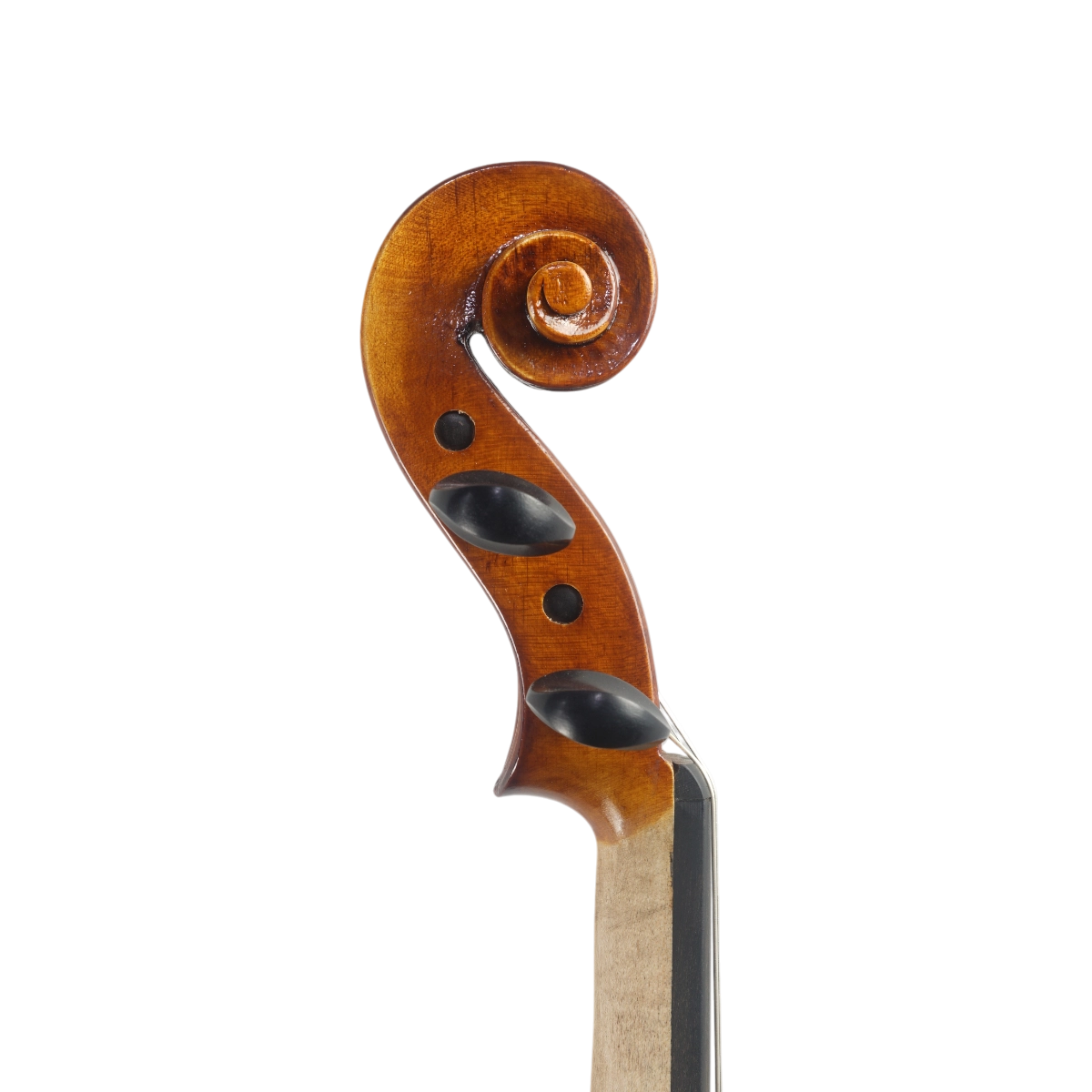 Violino Marsale Brasiliano 2025 Grau B n699