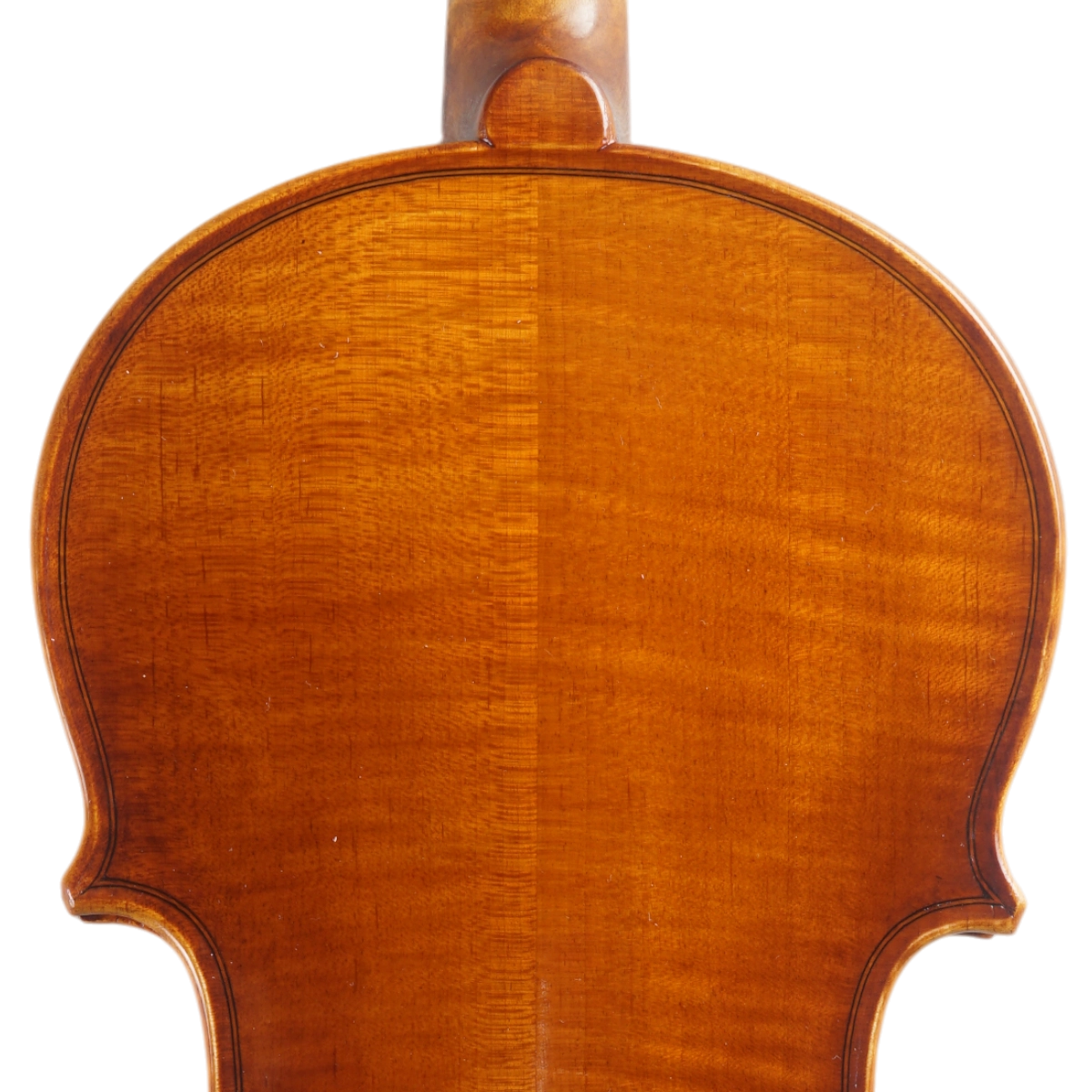 Violino Marsale Brasiliano 2025 Grau B n700