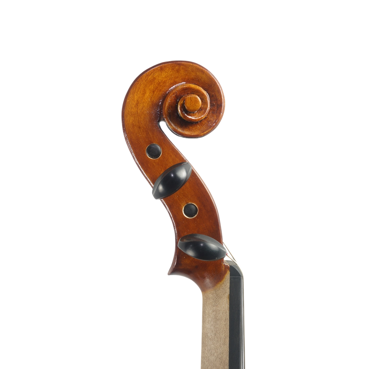 Violino Marsale Brasiliano 2025 Grau B n700