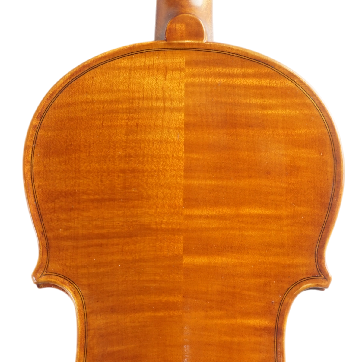 Violino Marsale Brasiliano 2025 Grau B n701