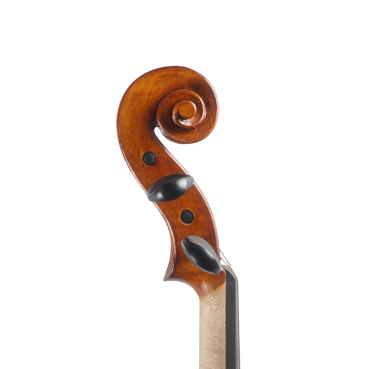 Violino Marsale Brasiliano 2025 Grau B n701