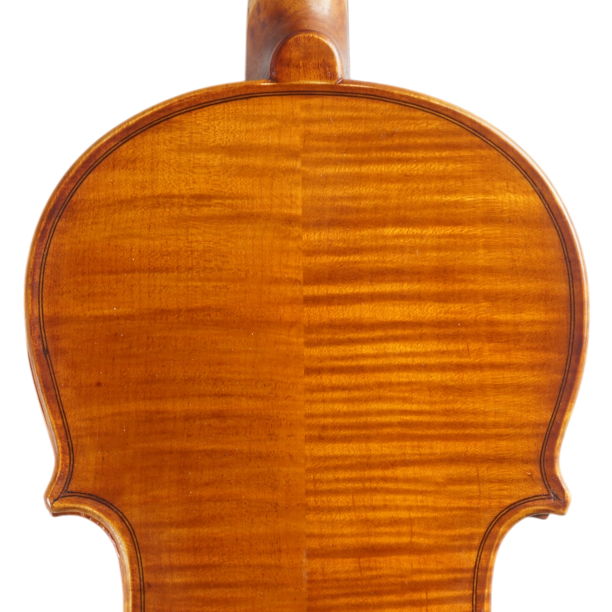 Violino Marsale Brasiliano 2025 Grau B n702