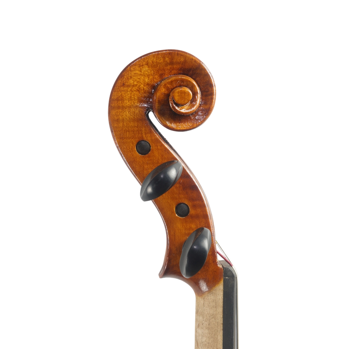 Violino Marsale Brasiliano 2025 Grau B n702