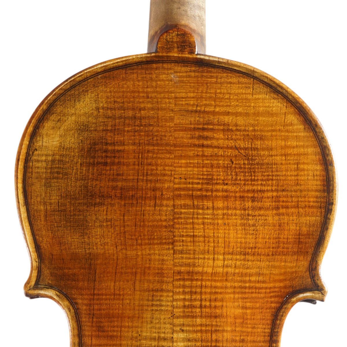 Violino Marsale Brasiliano 2025 Grau C n657