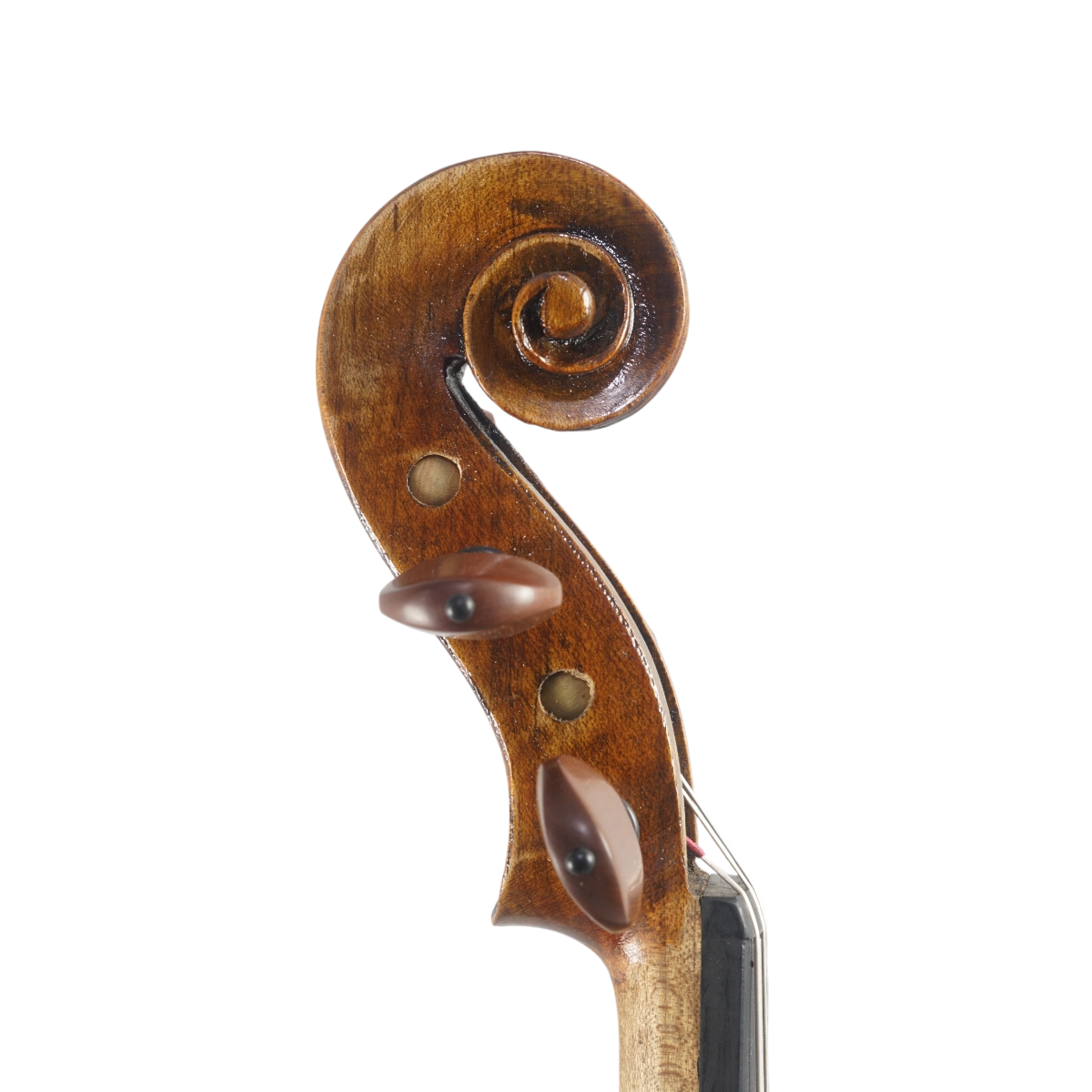 Violino Marsale Brasiliano 2025 Grau C n657