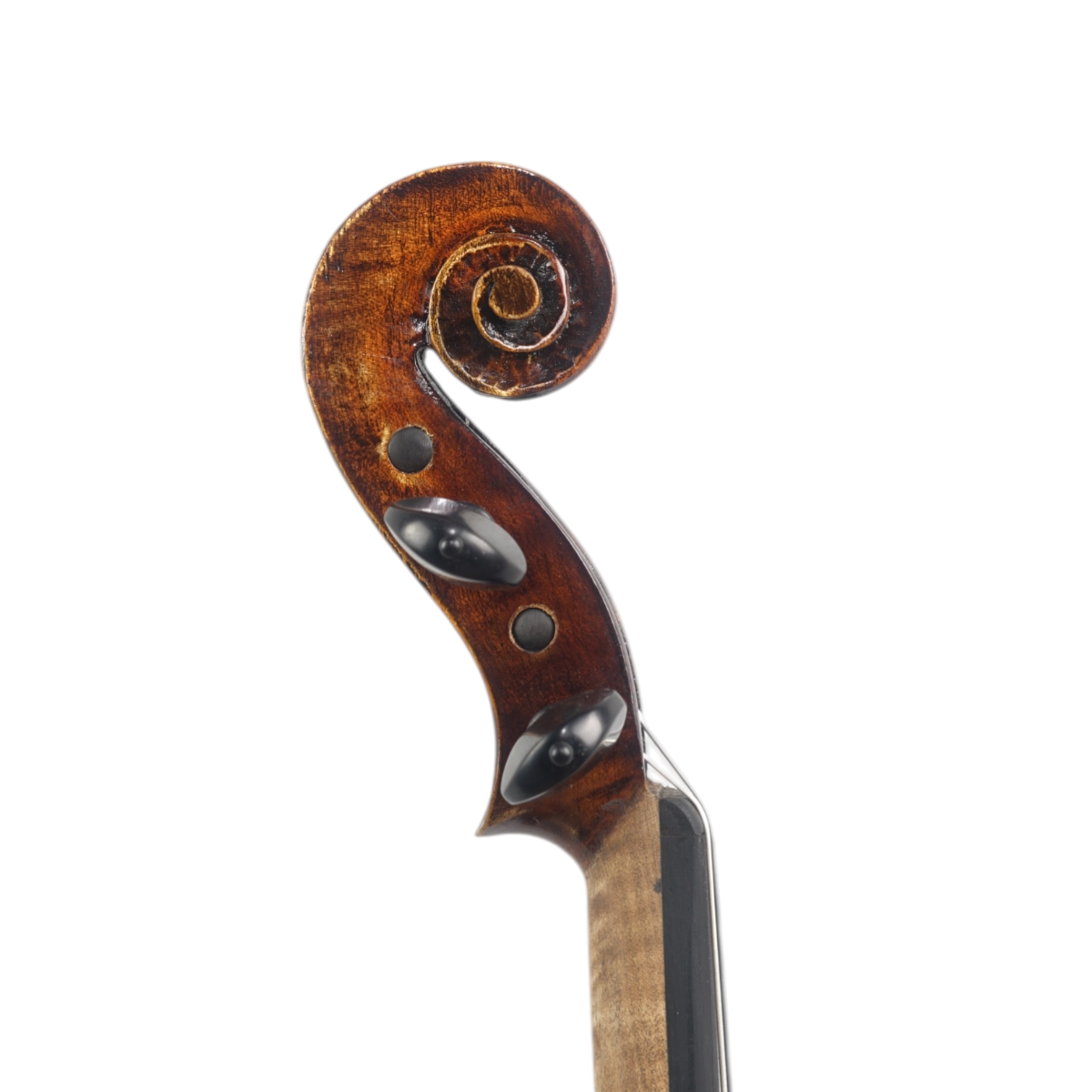  Violino Marsale Brasiliano 2026 Grau A n762