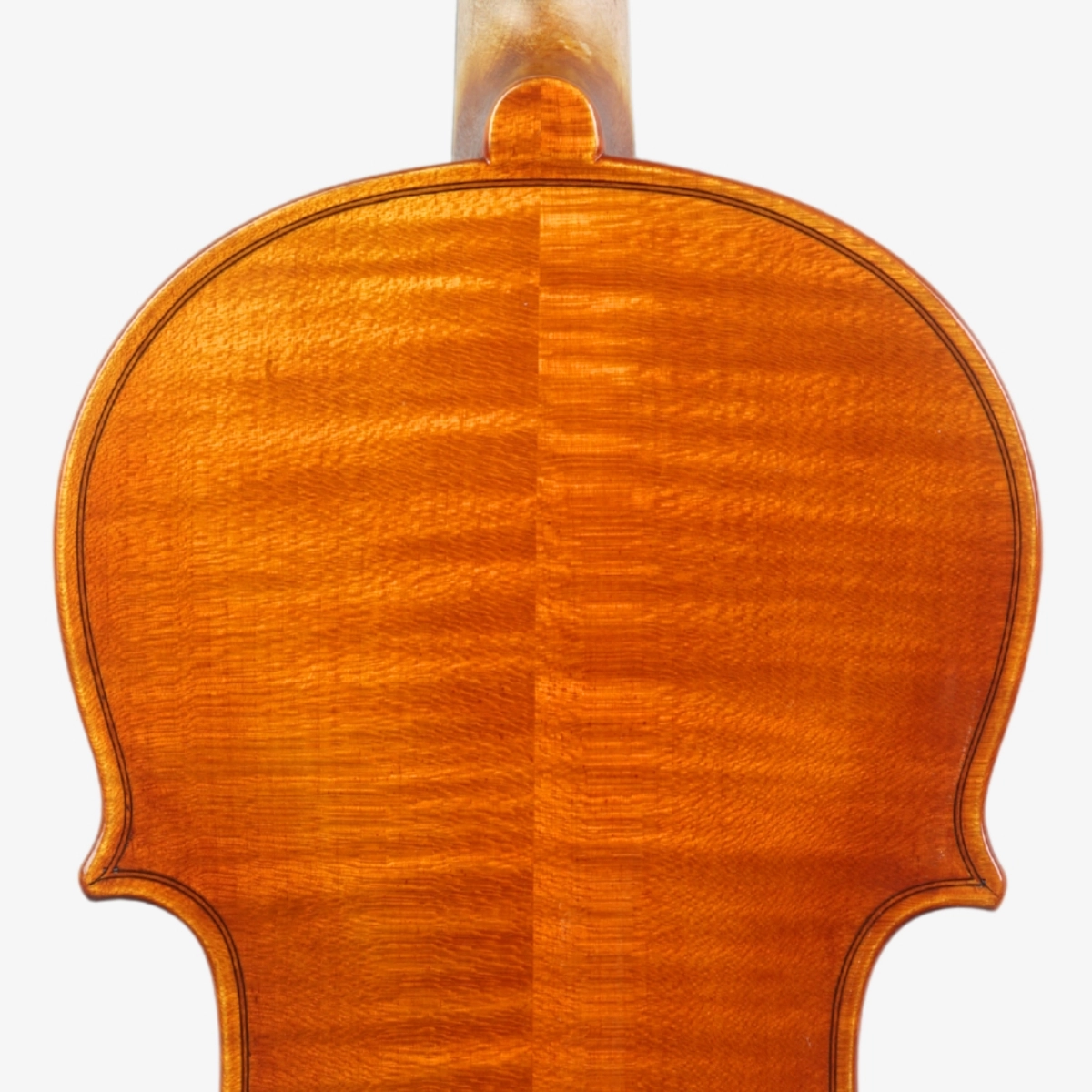 Violino Marsale Brasiliano 2026 Grau A n806 Violino Marsale Brasiliano 2026 Grau A n806