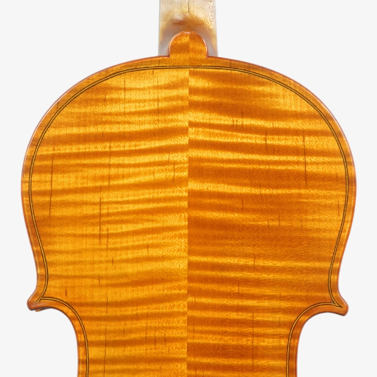 Violino Marsale Brasiliano 2026 Grau A n808 Violino Marsale Brasiliano 2026 Grau A n808