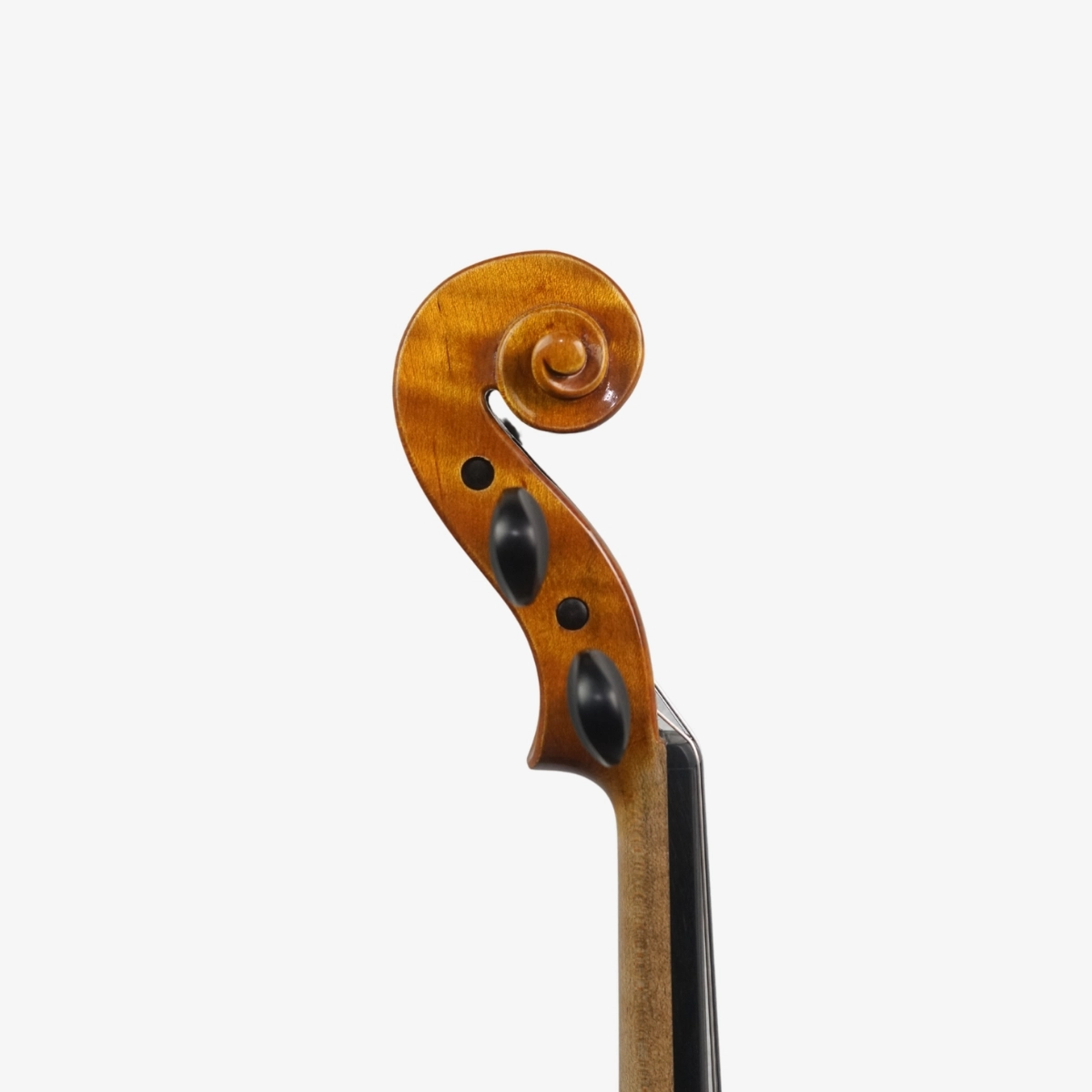 Violino Marsale Brasiliano 2026 Grau A n808 Violino Marsale Brasiliano 2026 Grau A n808