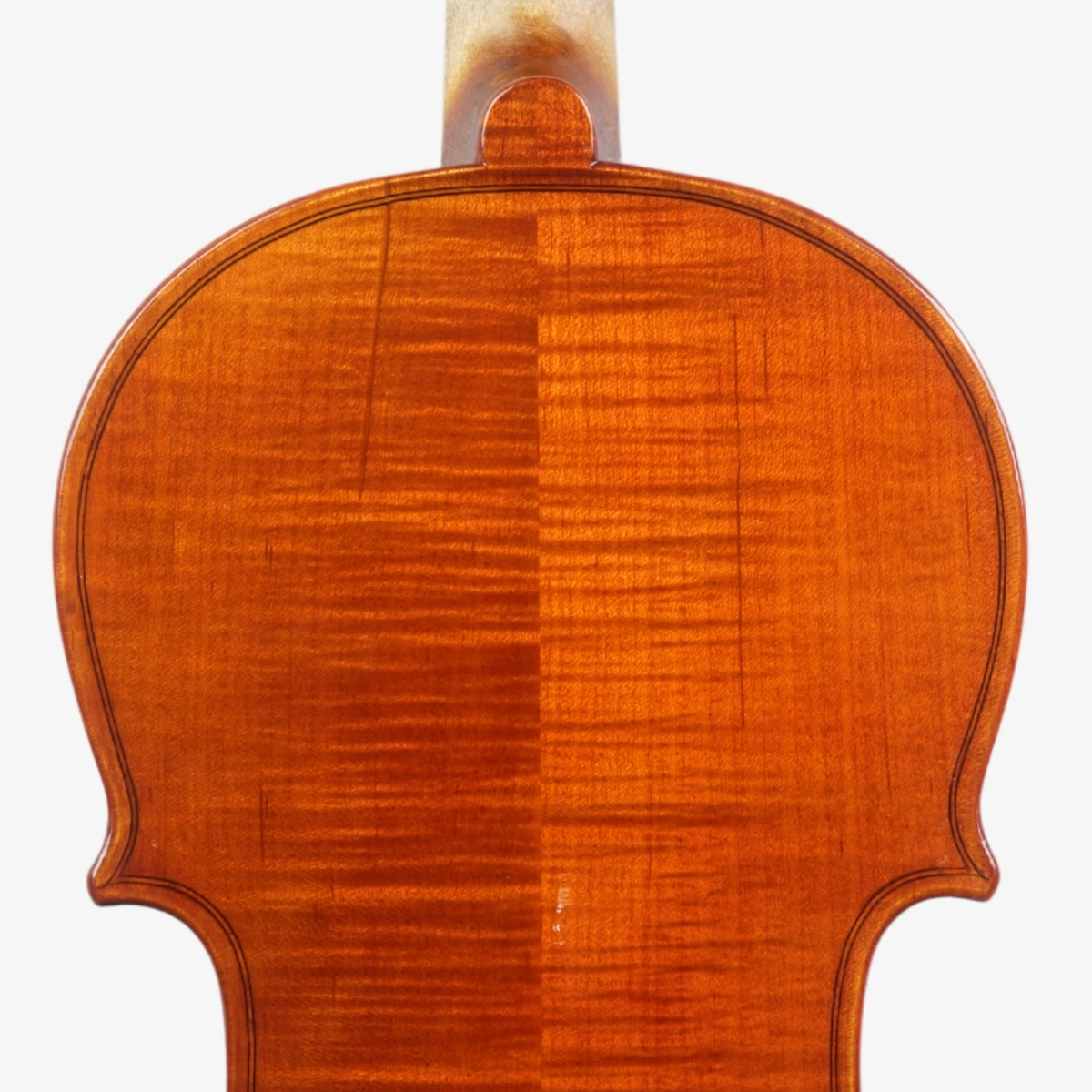Violino Marsale Brasiliano 2026 Grau A n809 - Verso Superior