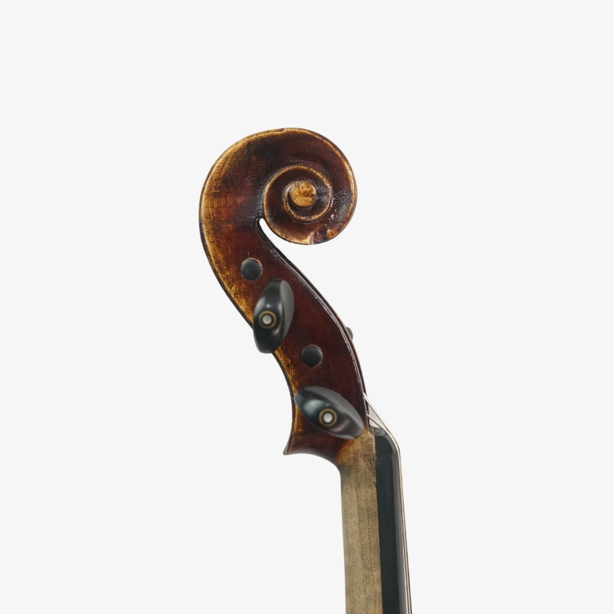 Violino Marsale Brasiliano 2026 n814 - Voluta Violino Marsale Brasiliano 2026 n814 - Voluta