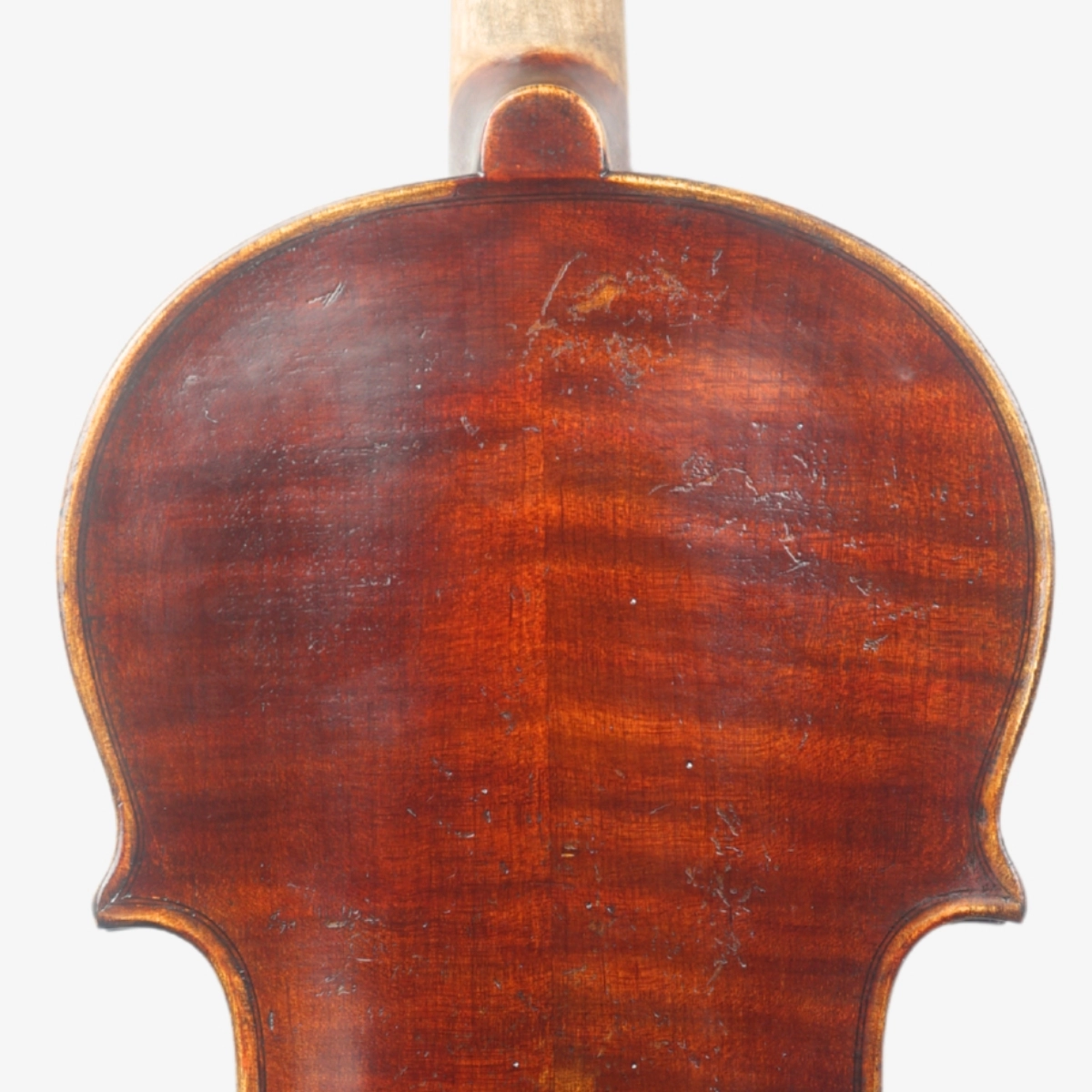 Violino Marsale Brasiliano 2026 n822
