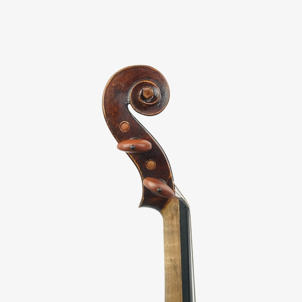 Violino Marsale Brasiliano 2026 n822