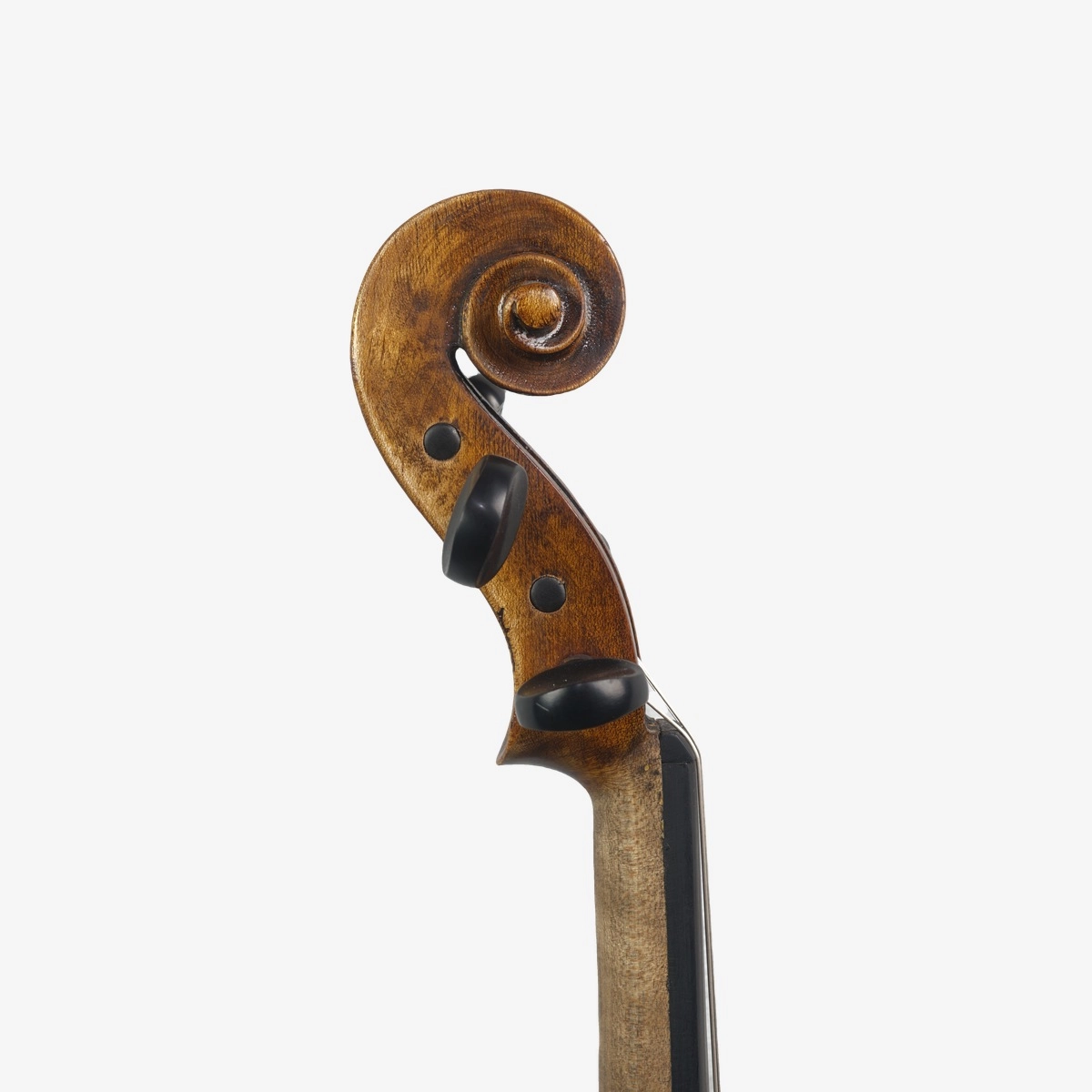 Violino Marsale Brasiliano 2026 Stradivari n815