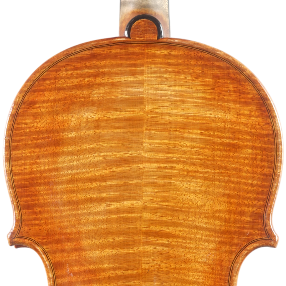  Violino Rinaldo Bellochi 2026 n758